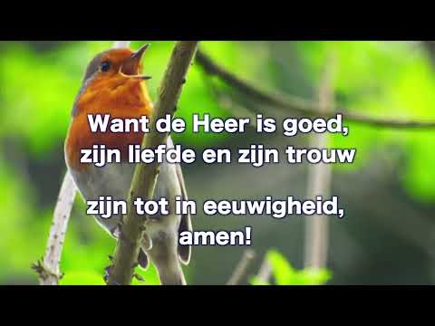 Opwekking 589 Ik wil juichen 1B