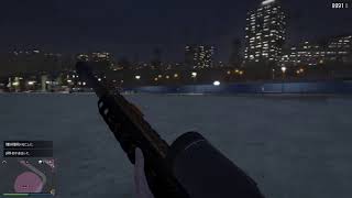 【GTA5】初心者の女性ヤバいwww