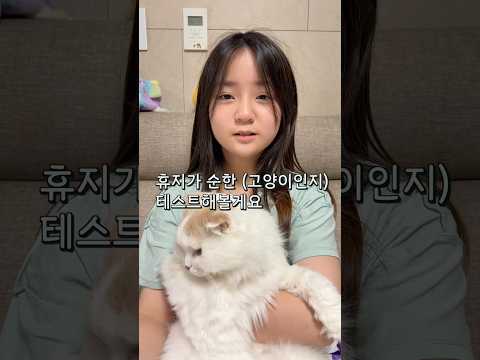 고양이 인내심 테스트 ㅋㅋㅋ