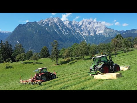 Fendt 313 Vario s4 Testeinsatz | Mähen, Gülleausbringung, Pressen | silieren Heuernte | Krone McHale