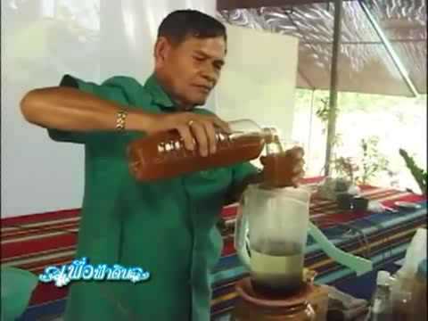 เช่นขิงในการรักษาความอ่อนแอ ว่าคำสามารถกระตุ้นผู้หญิง