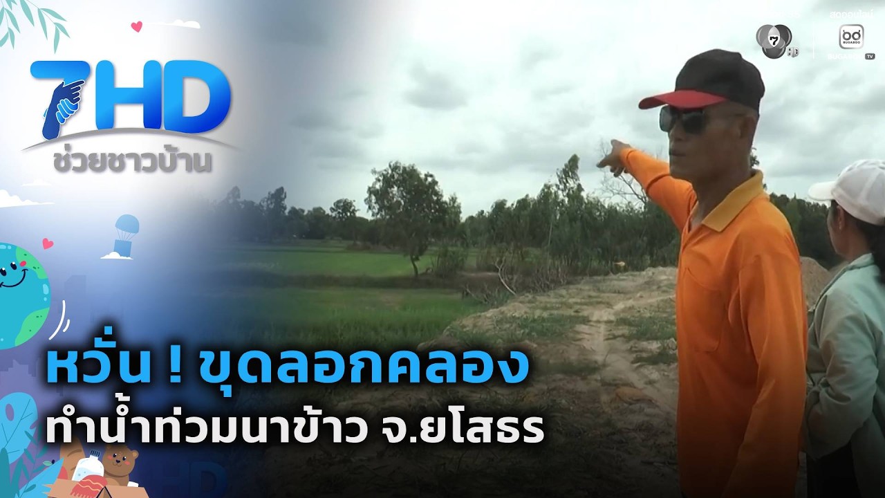 หวั่น ! ขุดลอกคลองทำน้ำท่วมนาข้าว จ.ยโสธร | 7 สีช่วยช?