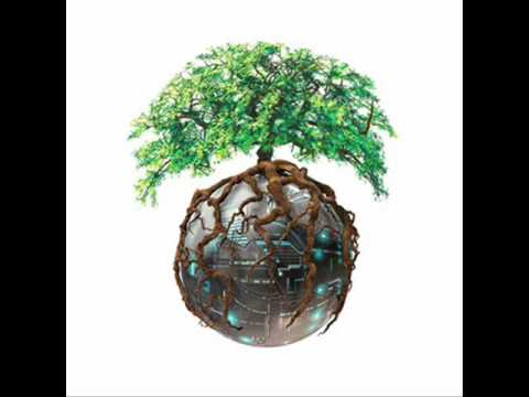 Alexander Brandon - Oracle