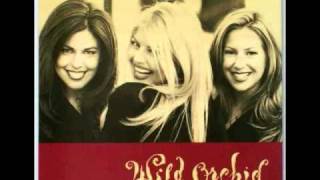 Wild Orchid - Talk to Me (Humpty Vission and Pete Lorimer west coast dub mix)(house music)(fergie)
