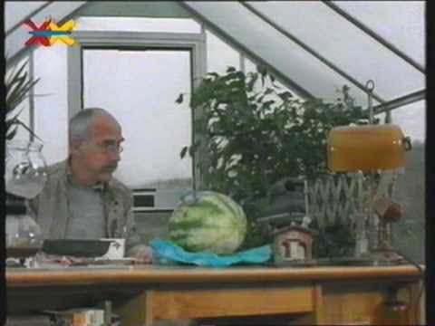 Mittendrin in einem Treibhaus Folge 13 Teil 2