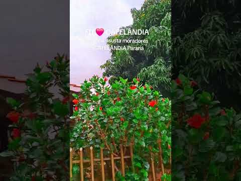 EU ❤️ CAFELÂNDIA     Temporal assusta moradores de Cafelândia Paraná