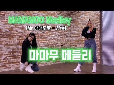 [TANDEM] 마마무 메들리ㅣ MAMAMOO MEDLEY (Mr. 애매모호 - AYA) ㅣ 거울모드 MIRROR MODE