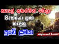 පුංචි ළමයට පන බේරගන්න පුළුවන් වෙයිද Jung
