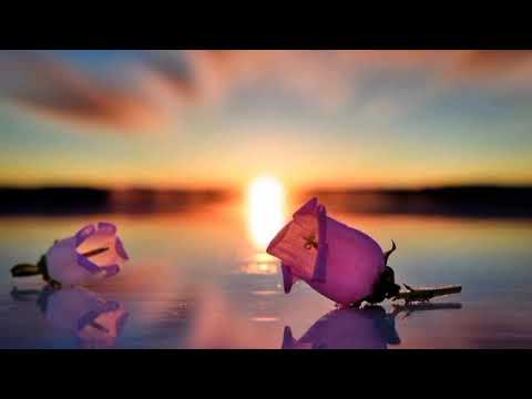 Dj Ganyani feat. Layla - Talk To Me (Kabza De Small Remix)