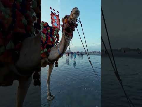 Sea View Karachi 2023 || CVU Beach || By Exploring With Hamza