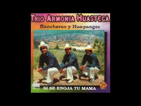 Trio Armonia Huasteca - Rancheras y Huapangos (Disco Completo)
