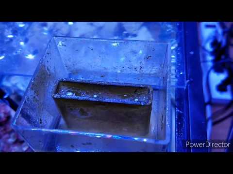 Hydor slim skim nano review