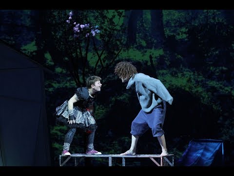 König Drosselbart | Märchen zur Weihnachtszeit