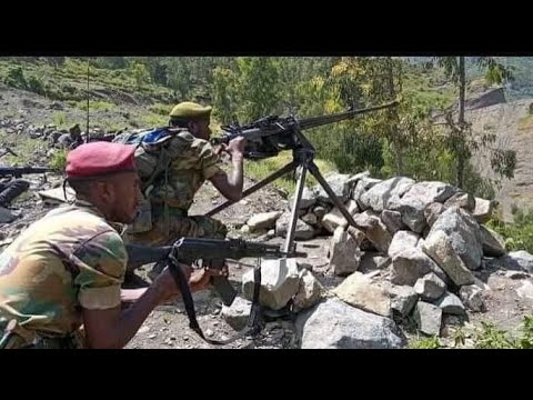 TDF  ኣብ ጎቦታት ኣምሓራ