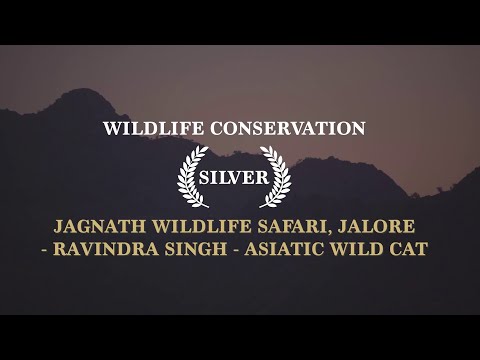 video clip image