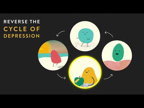 How to reverse the vicious cycle of Depression - Flow