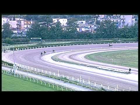 Trotto 21/08/2020 - 3ª prova di qualifica