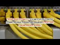 Best Structured Cabling Solution Providing Company in Dubai