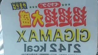 ギガマックスチャレンジ