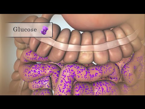 Treating Low Blood Sugar | Hypoglycemia | Nucleus Health