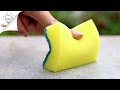 15 Hacks How To Use Sponges