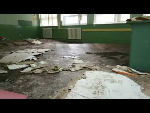 os desanka maksimovic futog3