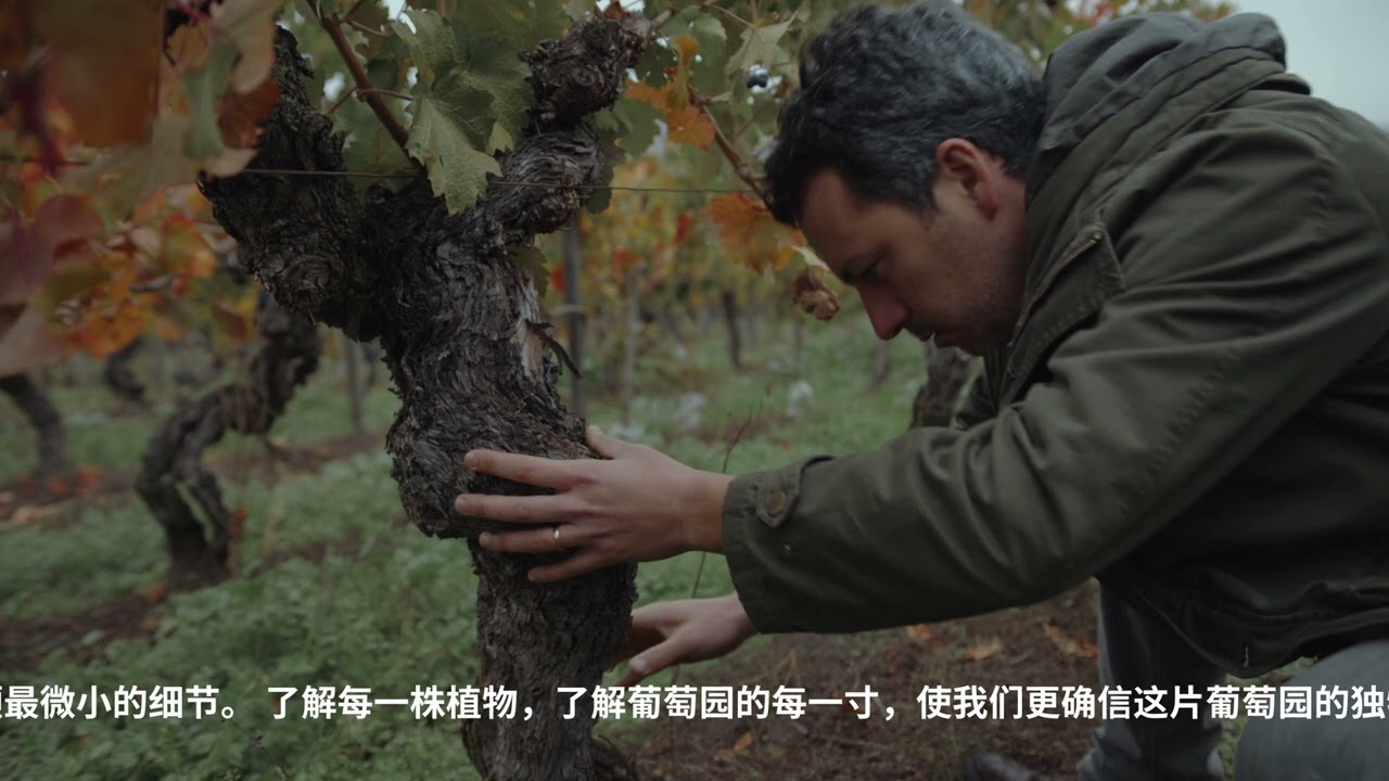 Clos De Luz Winery