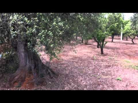 MICROPHONE KILLARZ-   feat t'roonz-va così.MOV