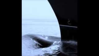 Frida Sundemo - A Million Years