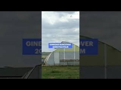 Ginegar 205 N Greenhouse Covering Film