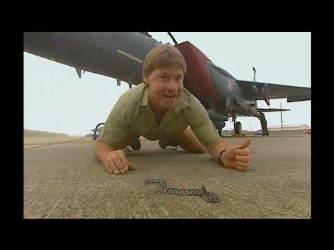 The Crocodile Hunter - Best Of Steve Irwin - S03 E12