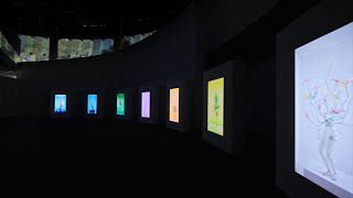  The Mathemagical Room | Masters of Light