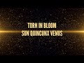 Sun Quincunx Venus Song Torn In Bloom