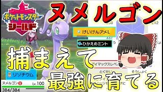 ポケモン剣盾 まるで要塞 最強の色違いバイウールーをランクマッチで使いたい ゆっくり実況 تنزيل الموسيقى Mp3 مجانا ポケモン剣盾 まるで要塞 最強の色違いバイウールーをランクマッチで使いたい ゆっくり実況 تنزيل الموسيقى Mp3 مجانا