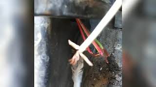 1990 Ford F150 Headlight Dimmer Switch Replacement