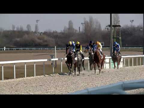2019.11.24. 03. futam - TOTALIZATŐR HENDIKEP (Elit o.) (szintetikus pálya)