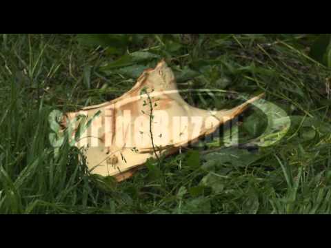 Accident Gheraseni sdb