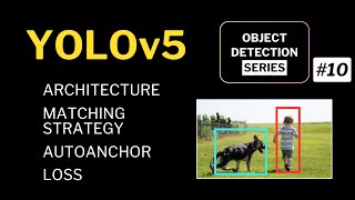 YOLOv5 Tutorial | Architecture, Assigning Targets & Loss Function Explained