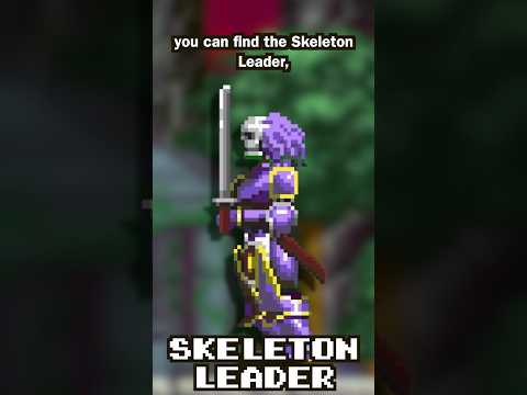 Symphony of the Night’s Most Obscure Boss Fight #castlevaniasymphonyofthenight #castlevania