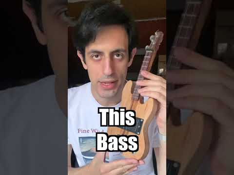 this is the cheapest bass ever