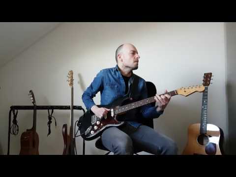 Blues / fusion guitar by Niels van der Steenhoven