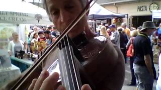 Bram:resonator violin