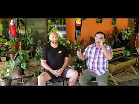 Patient story about fixing dental work that went wrong