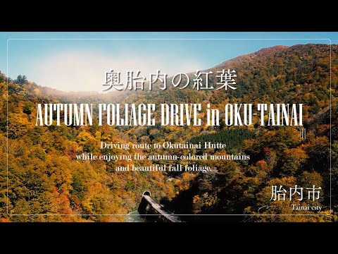 新潟の秘境・奥胎内の紅葉｜ブナ原生林が織りなす秋の芸術