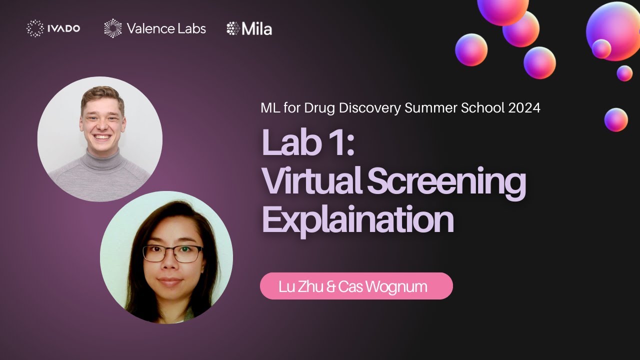 Lab 1 - Virtual Screening Explanation