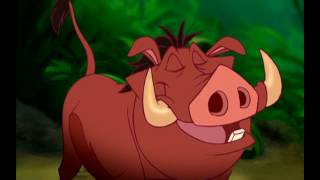 Timon &amp; Pumbaa&#39;s Wild About Safety: Safety Smart: At Home! (2008) (Full Screen)