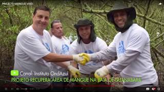 Miniatura do vídeo