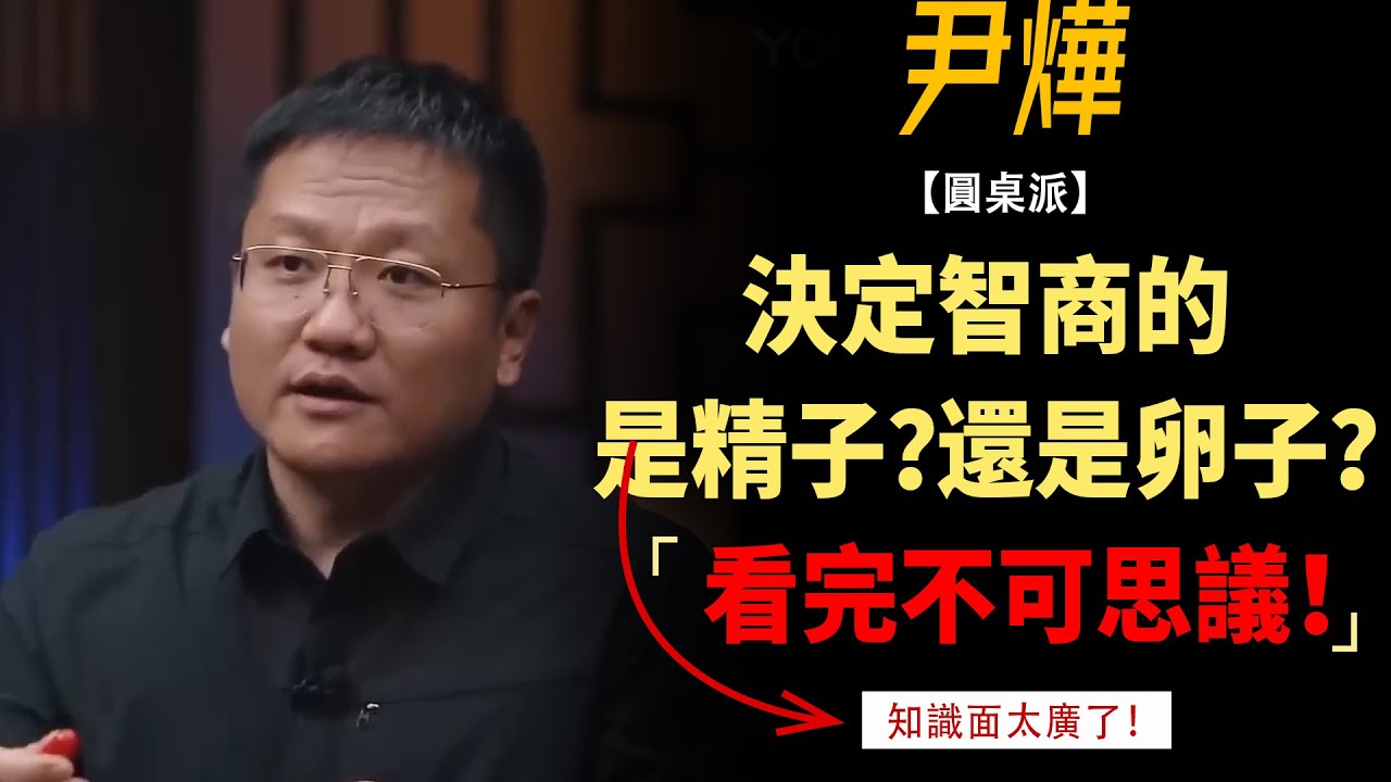 決定智商基因的，究竟是精子還是卵子？看完不可思議！#竇文濤#週長#馬未都#許子東#尹燁 #圓桌派第五季 #圓桌派