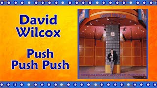 Push, Push, Push - David Wilcox