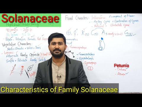 9.12 Family Solanaceae | General Characters, economical importance of Family Solanaceae